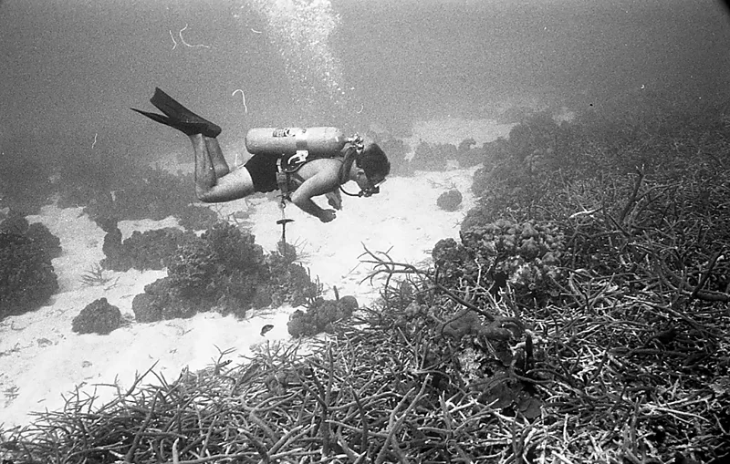 These 1960s photos reveal Jamaica’s lost underwater paradise